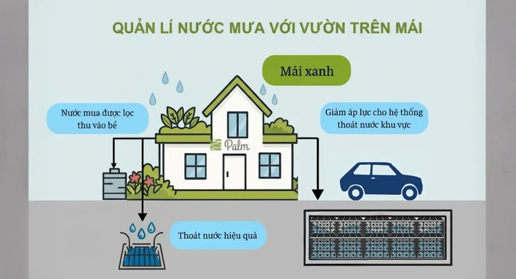 Vỉ thoát nước là gì? Phân loại và công dụng của Vỉ thoát nước